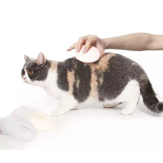 PETKIT หวีนวดสัตว์เลี้ยง Pet massage comb