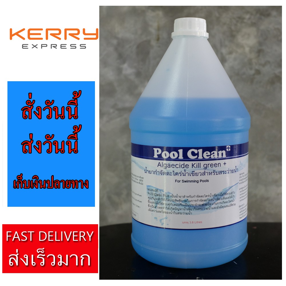 Pool Clean Plus น้ำยากำจัดตะไคร่ น้ำเขียวสำหรับสระว่ายน้ำ Algaecide Kill For Swimming Pool 5