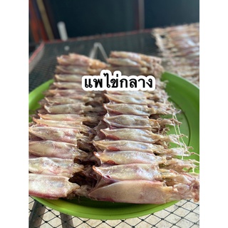 แพไข่กลาง คัดพิเศษ ปลาหมึกแห้ง ปลาหมึกตากแห้ง อาหารทะเลแห้ง อาหารทะเลแปรรูป สดใหม่ สะอาด อร่อย ปลอดภัย- Pailin seafood