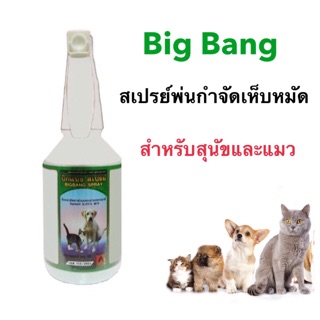 ถูก‼️Big Bang สเปรย์พ่นกำจัดเห็บหมัด เห็นผลไว