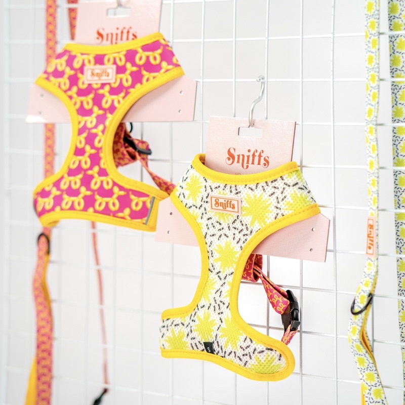 Float N' Fly Reversible Harness & Leash Set