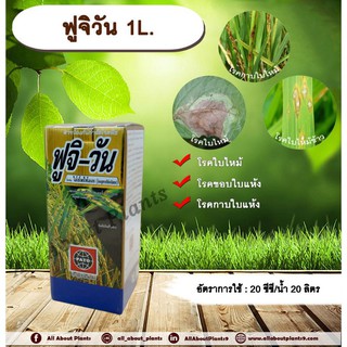 ฟูจิวัน ป้องกันกำจัดโรคใบไหม้ (Rice Blast) ในข้าว ที่มีสาเหตุจากเชื้อรา โรคขอบใบแห้ง โรคกาบใบแห้ง