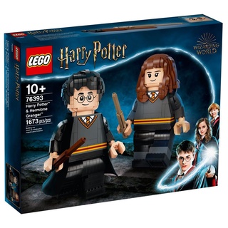 LEGO Harry Potter &amp; Hermione Granger 76393