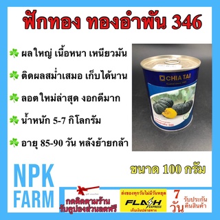 ฟักทองทองอำพัน 346 ขนาด 100 กรัม เมล็ดพันธุ์ ผลใหญ่ เนื้อหนา เหนียวมัน ติดผลดี เก็บได้นาน ลอตใหม่ งอกดีมาก