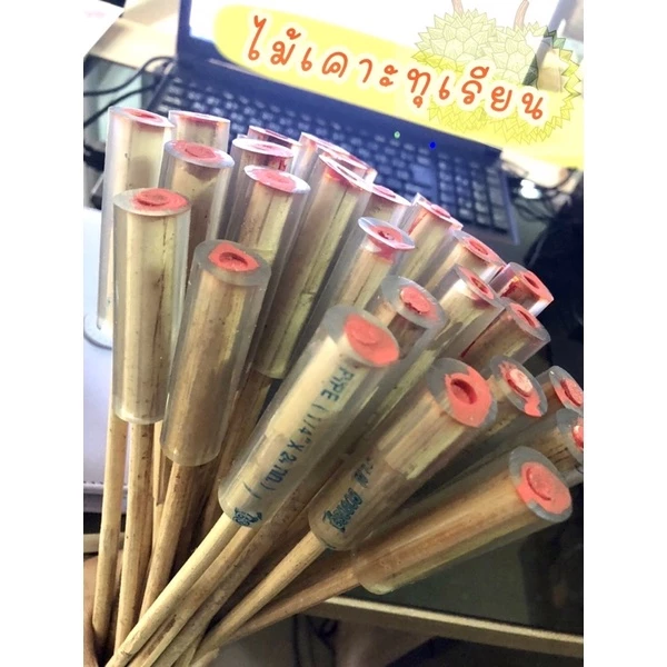 พร้อมส่ง💥 ไม้เคาะทุเรียน เคาะฟังเสียงทุเรียน รับประกันทุกชิ้น
