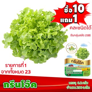 [ซื้อ10แถม1 + ฟรีคู่มือ] เมล็ดพันธุ์ กรีนโอ๊ค GREEN OAK  (0.2 กรัม 200 เมล็ด) ทำมะชาดฟาร์ม ผักสลัด เมล็ดพันธุ์สลัด