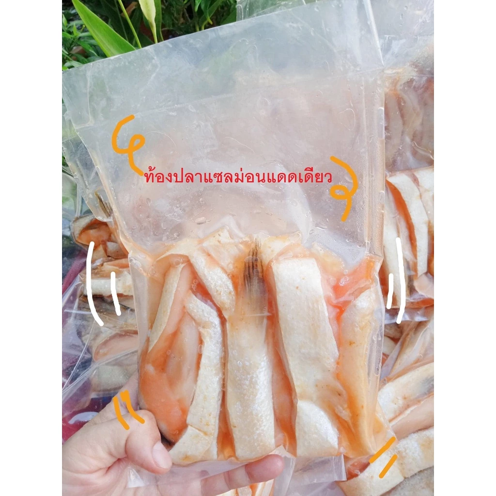 ท้องปลาแซลมอนแดดเดียว