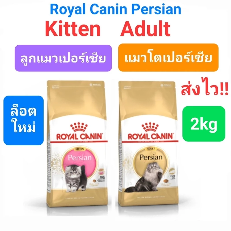 Royal Canin Persian 2kg โรยัลคานิน แมวโตเปอร์เซีย / Kitten Persian 2kg ลูกแมวเปอร์เซีย persia ถุง 2 กก.