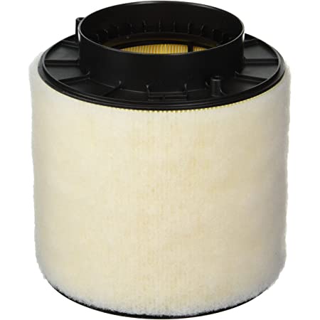 ตัวกรองอากาศสําหรับ AUDI S4 S5 Q5 3.0L V6T CAKA 3.2L V6 CALA CALB 8K0133843