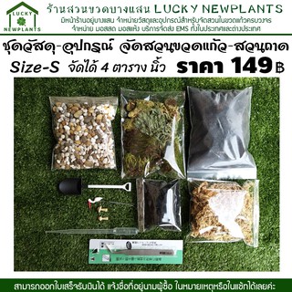 ชุด DIY จัดสวนขนาดเล็ก สวนขวด วัสดุและอุปกรณ์ปลูกครบพร้อมใช้ 149 บาท