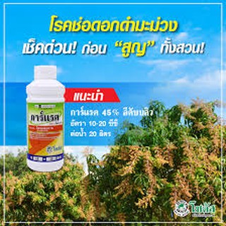 การ์แรต 45% อีดับบลิว  :   โพรคลอราซ (prochloraz)