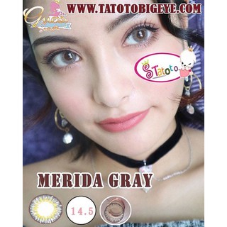 Merida Gray  TATOTO Contact Lenses  บิ๊กอาย #6