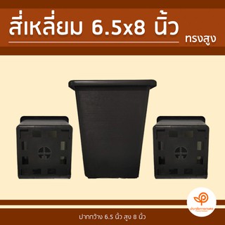 กระถางปลูกต้นไม้ สี่เหลี่ยม 6.5x8 นิ้ว (ทรงสูง) 1 แพ็ค 50 ใบ