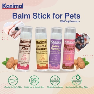 🐾 Kanimal Balm Stick บาล์มสุนัข บาล์มแมว ชนิดแท่งบำรุงผิวหนัง สูตร All-In-One 28.5ก. (บาล์มสัตว์เลี้ยง)  ทาอุ้งเท้า จมุก