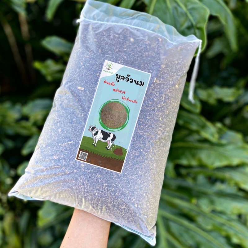 มูลวัวนม ขี้วัวนม 100% ป่นตากแห้ง ฆ่าเชื้อเน่าด้วย EM  ไม่เหม็นเน่า ใช้งานง่าย ไม่ใช้โซดาไฟล้างคอก
