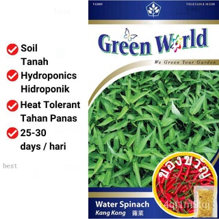 Green World Water Spinach Seeds (10g) | Biji Kangkung | 蕹菜เมล็ด木瓜/儿童/向日葵/帽子/香菜/苹果/种子/头饰/玫瑰/文胸/ UQWD