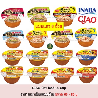 [6 ถ้วย] INABA ถ้วย Catfood in Cup อาหารแมว แบบถ้วย 65 - 80g