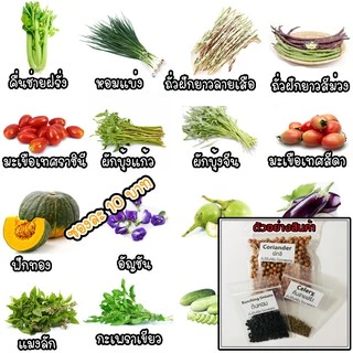 เมล็ดพันธุ์ผักสวนครัว ผักพื้นบ้าน 10 บาท / 12แถม2
