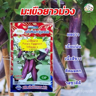 เมล็ดมะเขือยาวม่วง Purple Eggplant ไวโอเลต8  เมล็ดมะเขือยาว เมล็ดมะเขือยาวสีม่วง เมล็ดผักสวนครัว เมล็ดพันธุ์ผัก ตราภูเขา