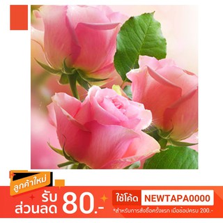 4 Oz.VICTORIAN ROSE FRAGRANCE OIL น้ำหอม NG Natures Garden นำเข้าจากอเมริกา