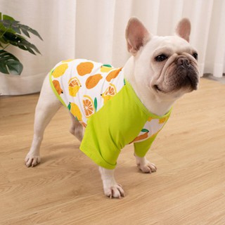 DOGIEBRA เสื้อผ้าสุนัข เสื้อสุนัข เสื้อหมา เสื้อแบบมีแขน ลายเลม่อนสุดน่ารัก