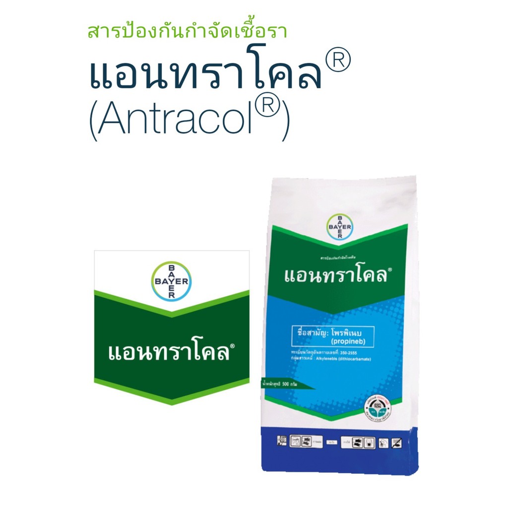 Bayer แอนทราโคล [ ขนาด1 กิโลกรัม ] โพรพิเนบ 70%สารป้องกันกำจัดโรคใบจุดสีน้ำตาลโรคใบไหม้โรคแอนแทรคโนส