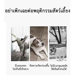 PP-112 ถาดรองฉี่สำหรับสุนัข ขอบสูงดีไซน์สี่เหลี่ยม พร้อมตะแกรงรองถาด ช่วยป้องกันการกระเด็น เหมาะสำหรับสัตว์เลี้ยง