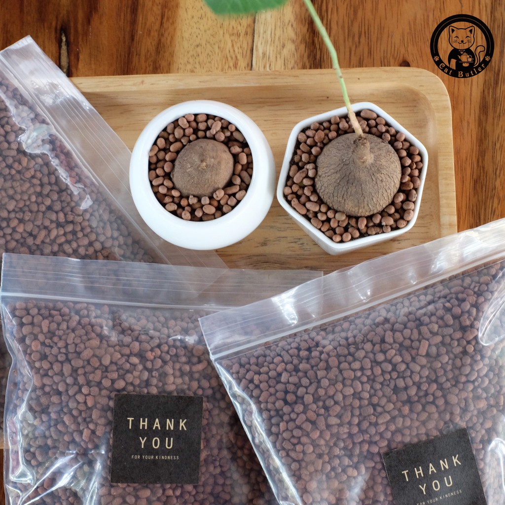 เม็ดดินเผา หินป๊อปเปอร์ (Popper) ขนาดสุดคุ้ม 120 และ 300กรัม ไซส์ S M L XL ใช้คลุมหน้าดิน ช่วยระบายอากาศ เพิ่มความสวยงาม