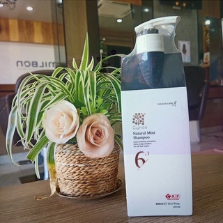 แชมพู Cynos Natural Mint Shampoo 400ml. ทำความสะอาดผม