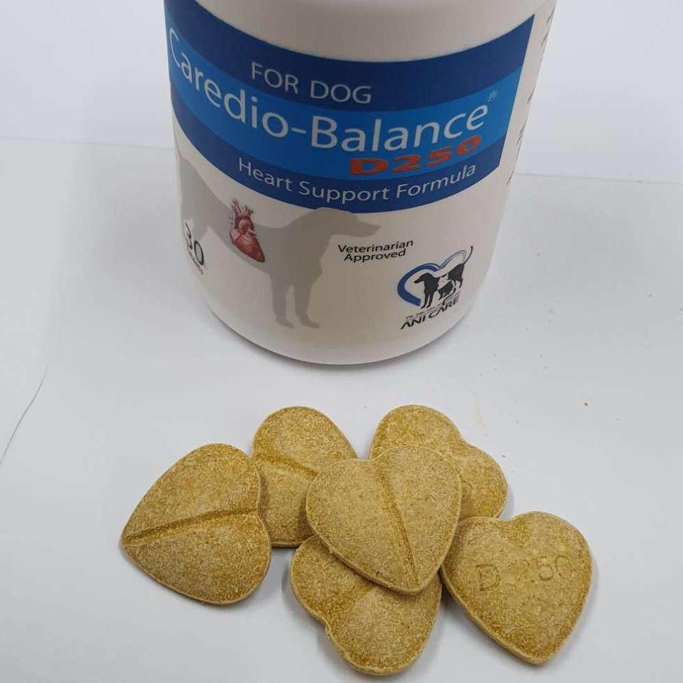 Caredio Balance D250 วิตามินบำรุงหัวใจสุนัข เสริมการทำงานของหัวใจ (30 เม็ด) LQLP