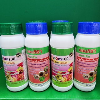 แอนติรา เอนไซม์ต่อต้านเชื้อราโรคพืช ไม่มีสารเคมี AntiRa 200CC ใช้ได้กับทุกพืช เกษตรสวน ดื้อยาต่ำ ปลอดภัย