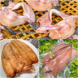 ปลาช่อนนา แดดเดียว ตัวเล็ก/ ตัวใหญ่ น่าทานมากจ้า
