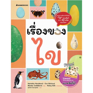 หนังสือเด็ก เรื่องของไข่