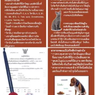 🎄ลอตล่าสุด 1 แถม 1 เนโปรวิท 😽🐶 Exp.2027