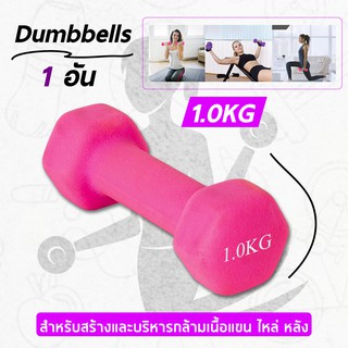 Dumbbell ดัมเบล ดัมเบลยาง 1-2 KG.