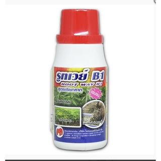 รูทเวย์ B1 ยาเร่งราก แช่เมล็ดพันธุ์ แก่กิ่งตอน ปีกชำ ฮอร์โมนบำรุง ขนาด 100ml