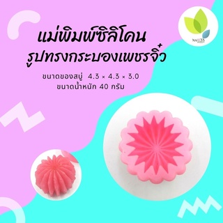 แม่พิมพ์สบู่ แม่พิมพ์ขนม แม่พิมพ์ซิลิโคน รูปทรงกระบองเพชรจิ๋ว 3 มิติ 40 กรัม (PM-M40-004)