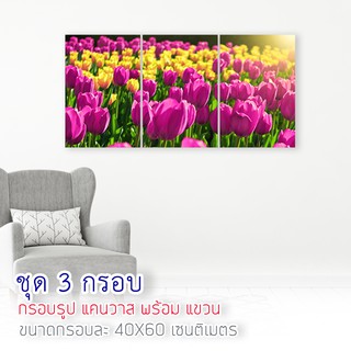 ภาพแต่งบ้าน ภาพดอกทิวลิป ภาพพิมพ์ แคนวาสแท้ กรอบรูปติดผนัง ภาพติดผนัง กรอบรูปแต่งบ้าน C0005