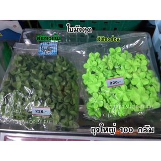 ใบมังคุดแบบผ้า 100กรัม