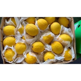 พร้อมส่ง‼️ (เซ็ท3ลูก/1KG) เลม่อนสดๆ lemon เปรี้ยวจี๊ดถึงใจ