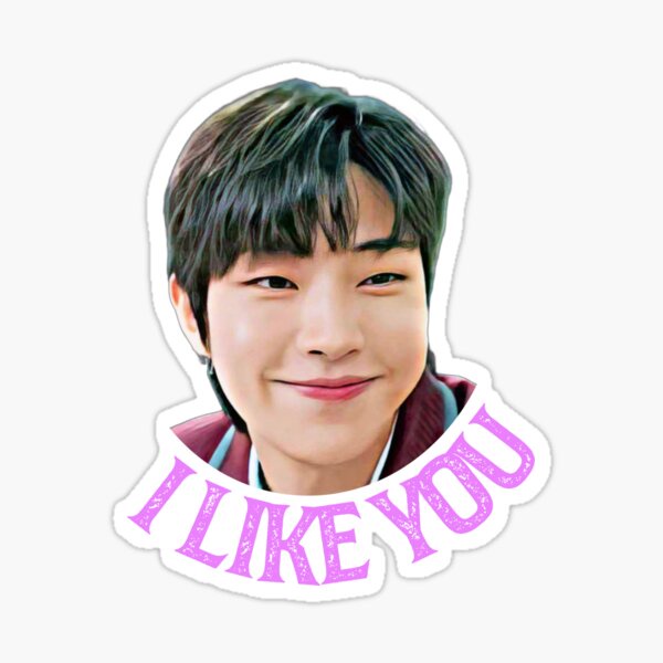 สติ๊กเกอร์ สติ๊กเกอร์กันน้ำ สติ๊กเกอร์ติดรถ แม๊กเนท แม่เหล็กติดตู้เย็น ตัวติดตู้เย็น hwang in yeop ฮ