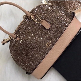 Coach micro minisierra