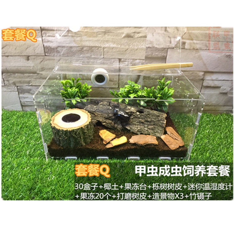My Image 35