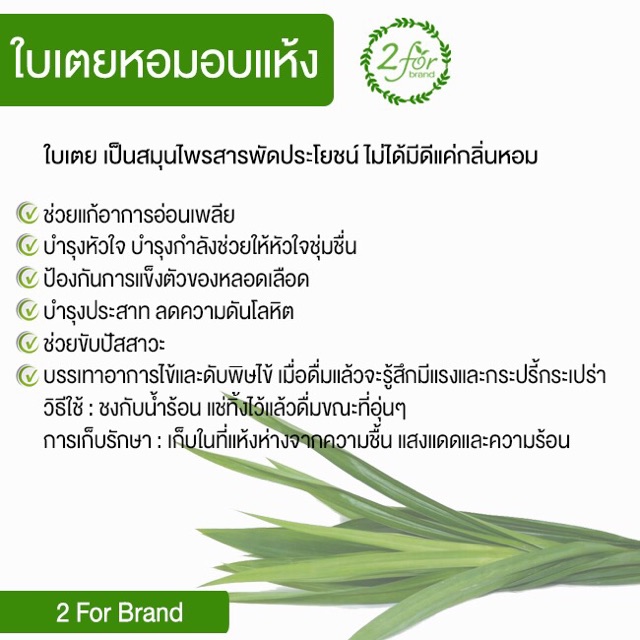 ใบเตยหอมอบแห้ง. อบใหม่ทุกอาทิตย์ กลิ่นหอม ต้มน้ำดื่ม บรรจุถุงซีปล็อค | Shopee Thailand