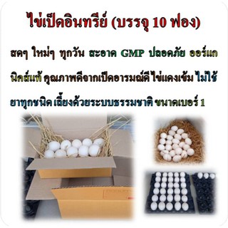 ไข่เป็ดอินทรีย์ บรรจุ 10 ฟอง อาหารเพื่อสุขภาพ ผลผลิตคุณภาพจากไร่ภูสวรรค์