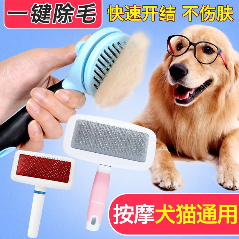 dog grooming shower