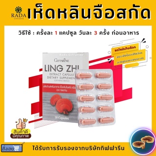 เห็ดหลินจือ แดงสกัด กิฟฟารีน LING ZHI MUSHROOM GIFFARINE | บำรุงร่างกาย บำรุงไต ต้านมะเร็ง เสริมสร้างระบบภูมิคุ้มกัน