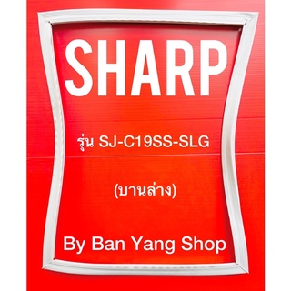 ขอบยางตู้เย็น SHARP รุ่น SJ-C19SS-SLG (บานล่าง)