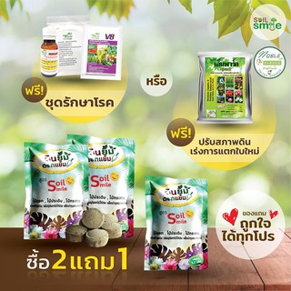 🔥เลือกของแถมได้🔥 Soil Smile ซื้อ 2 แถม 1 + ชุดยาฟรี ดินยิ้ม ดอกแย้ม สูตรบำรุงดิน แบบออร์แกนิค ปลอดภัย