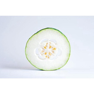 Winter Melon seeds 30pcsผักBenih Tree Pokok Bunga outdoor biji beenih sayur sayuran easy fastเสื้อ/บ้านและสวน/คื่นฉ่าย/ส